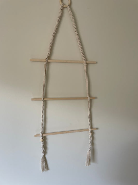 Ladder wall hanger